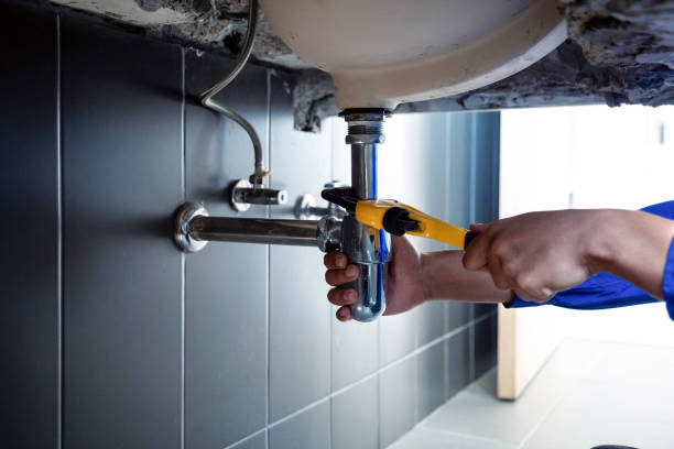 Best 24/7 Emergency Plumbing Services  in Albion, MI